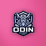 CosmosRO - Odin Patch